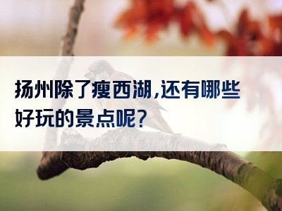 扬州除了瘦西湖，还有哪些好玩的景点呢？