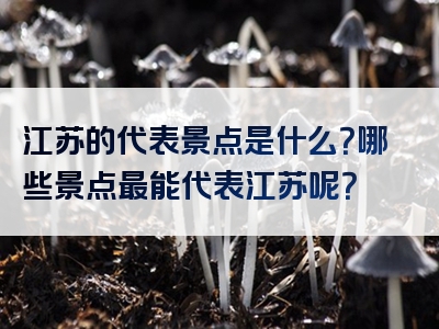 江苏的代表景点是什么？哪些景点最能代表江苏呢？