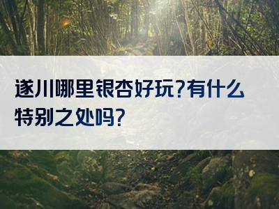 遂川哪里银杏好玩？有什么特别之处吗？