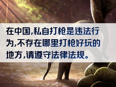 在中国，私自打枪是违法行为，不存在哪里打枪好玩的地方，请遵守法律法规。
