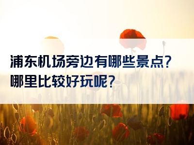 浦东机场旁边有哪些景点？哪里比较好玩呢？
