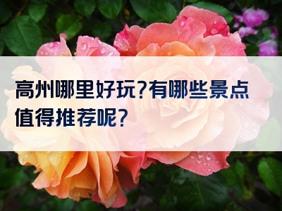高州哪里好玩？有哪些景点值得推荐呢？
