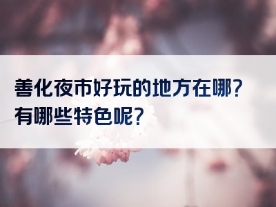 善化夜市好玩的地方在哪？有哪些特色呢？