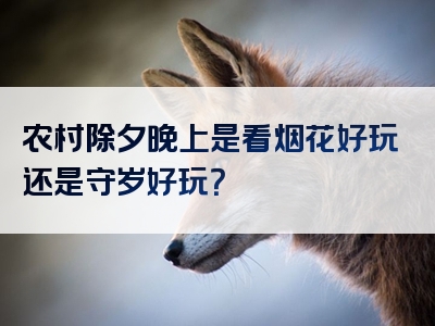 农村除夕晚上是看烟花好玩还是守岁好玩？