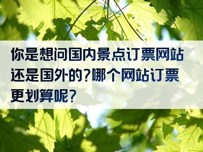 你是想问国内景点订票网站还是国外的？哪个网站订票更划算呢？