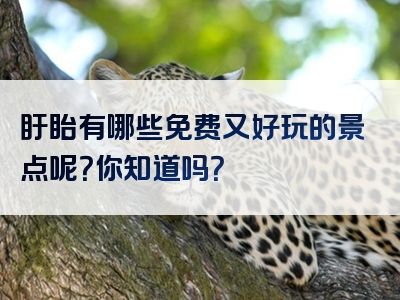 盱眙有哪些免费又好玩的景点呢？你知道吗？