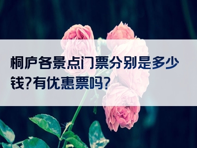 桐庐各景点门票分别是多少钱？有优惠票吗？