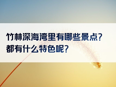竹林深海湾里有哪些景点？都有什么特色呢？