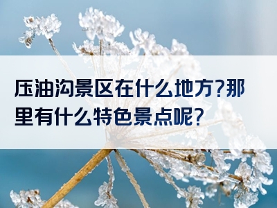 压油沟景区在什么地方？那里有什么特色景点呢？