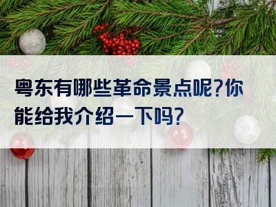 粤东有哪些革命景点呢？你能给我介绍一下吗？