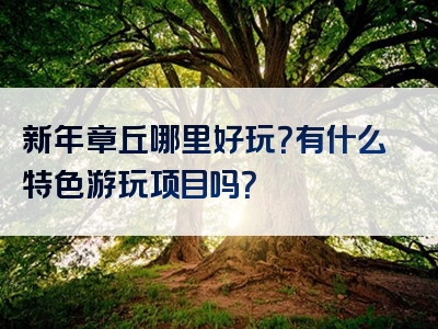 新年章丘哪里好玩？有什么特色游玩项目吗？
