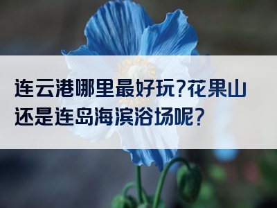 连云港哪里最好玩？花果山还是连岛海滨浴场呢？