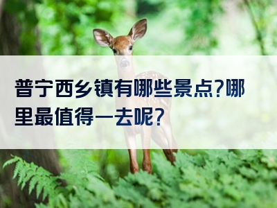 普宁西乡镇有哪些景点？哪里最值得一去呢？