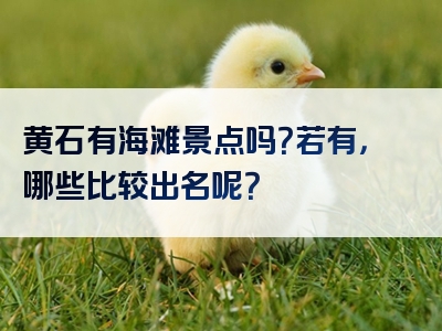 黄石有海滩景点吗？若有，哪些比较出名呢？