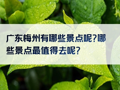广东梅州有哪些景点呢？哪些景点最值得去呢？