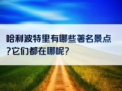 哈利波特里有哪些著名景点？它们都在哪呢？