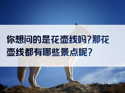 你想问的是花壶线吗？那花壶线都有哪些景点呢？
