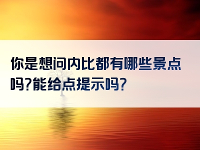 你是想问内比都有哪些景点吗？能给点提示吗？