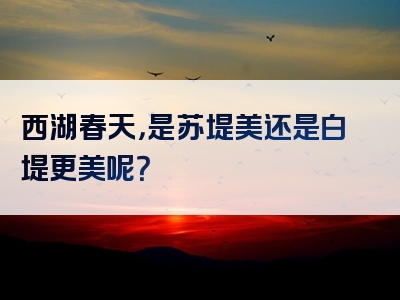 西湖春天，是苏堤美还是白堤更美呢？