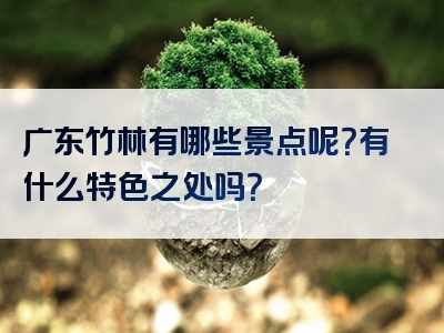 广东竹林有哪些景点呢？有什么特色之处吗？