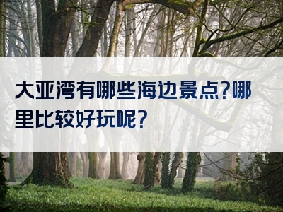 大亚湾有哪些海边景点？哪里比较好玩呢？