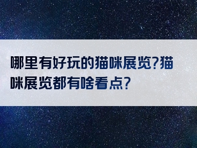 哪里有好玩的猫咪展览？猫咪展览都有啥看点？