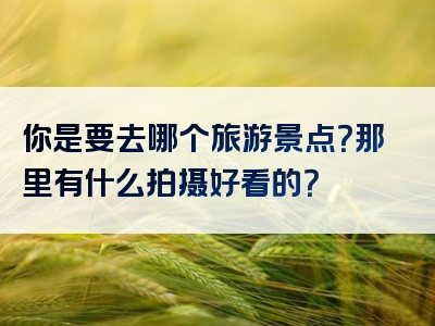 你是要去哪个旅游景点？那里有什么拍摄好看的？