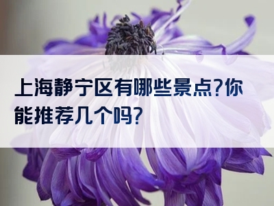 上海静宁区有哪些景点？你能推荐几个吗？