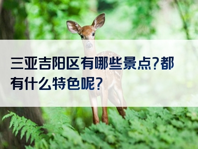 三亚吉阳区有哪些景点？都有什么特色呢？