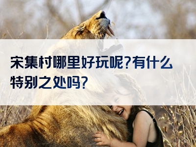 宋集村哪里好玩呢？有什么特别之处吗？