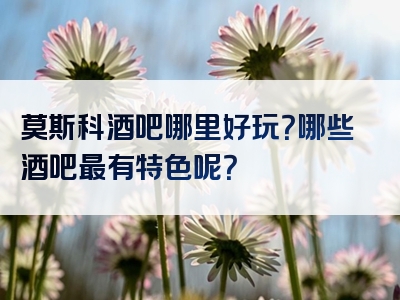 莫斯科酒吧哪里好玩？哪些酒吧最有特色呢？