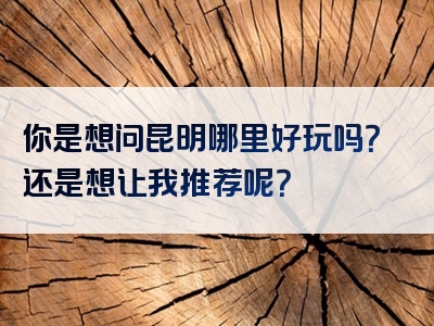 你是想问昆明哪里好玩吗？还是想让我推荐呢？
