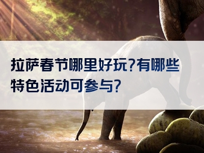 拉萨春节哪里好玩？有哪些特色活动可参与？