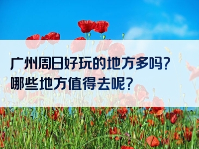 广州周日好玩的地方多吗？哪些地方值得去呢？