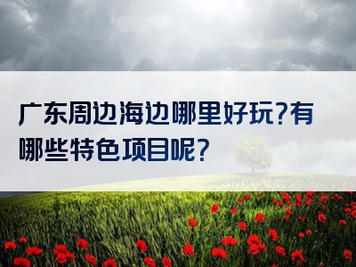 广东周边海边哪里好玩？有哪些特色项目呢？