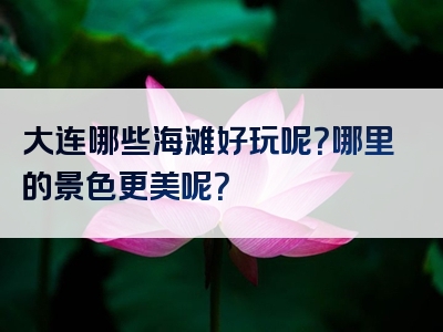 大连哪些海滩好玩呢？哪里的景色更美呢？