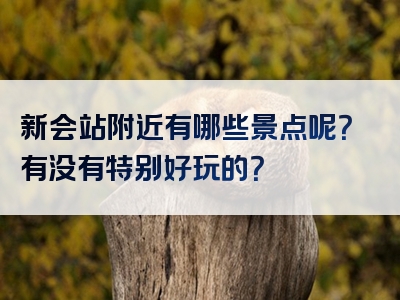 新会站附近有哪些景点呢？有没有特别好玩的？