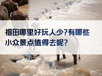 福田哪里好玩人少？有哪些小众景点值得去呢？