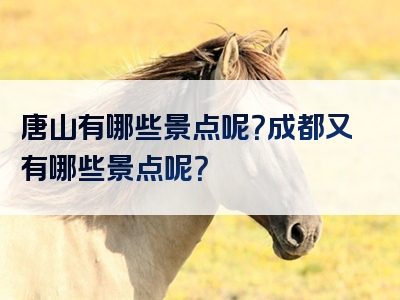 唐山有哪些景点呢？成都又有哪些景点呢？