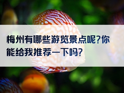 梅州有哪些游览景点呢？你能给我推荐一下吗？