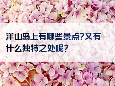 洋山岛上有哪些景点？又有什么独特之处呢？