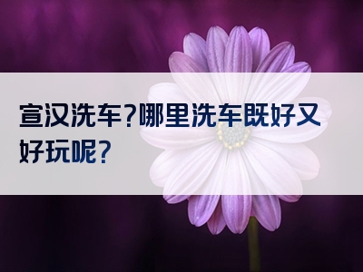 宣汉洗车？哪里洗车既好又好玩呢？