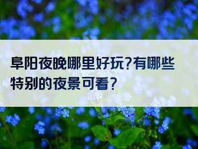 阜阳夜晚哪里好玩？有哪些特别的夜景可看？
