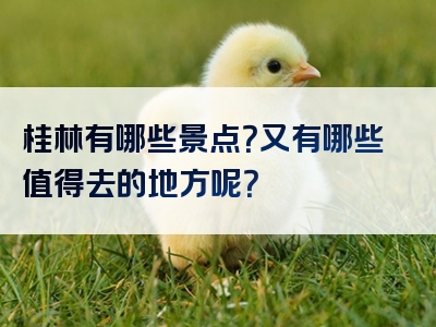 桂林有哪些景点？又有哪些值得去的地方呢？