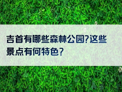 吉首有哪些森林公园？这些景点有何特色？