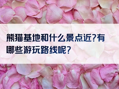 熊猫基地和什么景点近？有哪些游玩路线呢？
