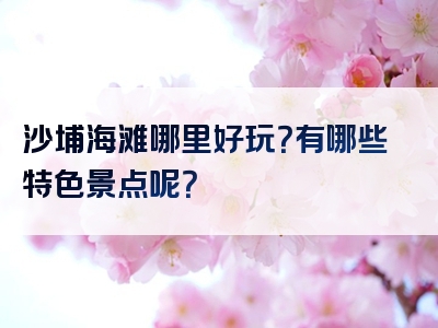 沙埔海滩哪里好玩？有哪些特色景点呢？