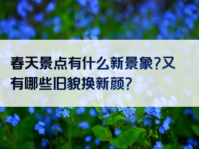 春天景点有什么新景象？又有哪些旧貌换新颜？