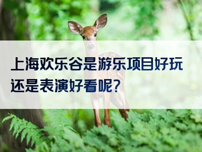 上海欢乐谷是游乐项目好玩还是表演好看呢？