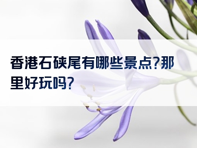 香港石硖尾有哪些景点？那里好玩吗？